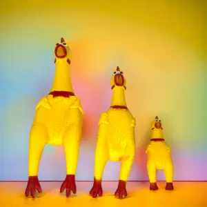 Pollo chillón