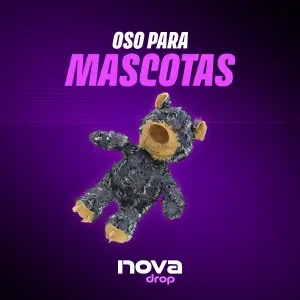Oso para mascotas-DG