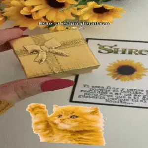 ANILLO GIRASOL PLATEADO GIRATORIO