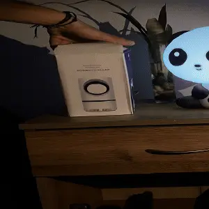 MOSQUITO KILLER