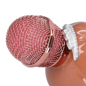 Micrófono de karaoke Muñeca para niñas