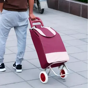Carro De Compras Con Ruedas Bolsa CDM01