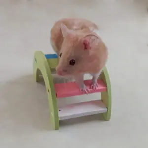JUGUETE PARA HAMSTER