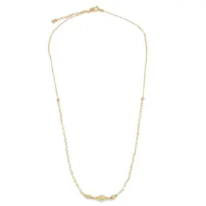 COLLAR 020413 TELASSIM.