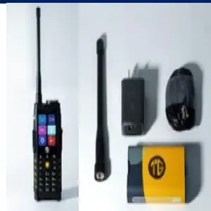 CELULAR ROMPEMUROS DUAL SIM, 2.4", 4G, T