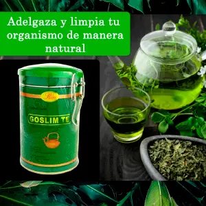 TE GOSLIM
