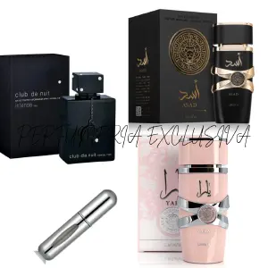Asad + Yara + club de nuit + perfumero