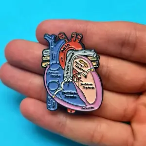Corazón Netter