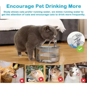 Fuente de agua para mascotas