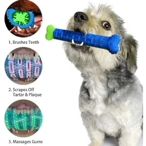 Cepillo De Dientes Para Mascotas hueso