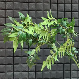 Ramas  De Hojas De Sauce OMC739