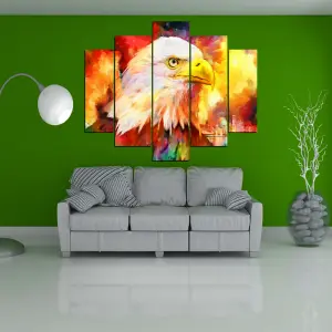 AVES 08