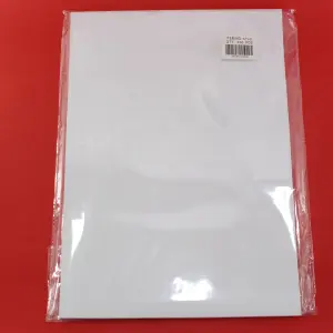 Cartulina Tamaño 25x35 Blanca x10