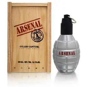 Arsenal Gris