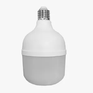 BOMBILLA 30W    T-100 PLUS