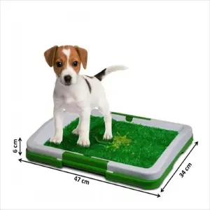 Tapete Perro Pequeño