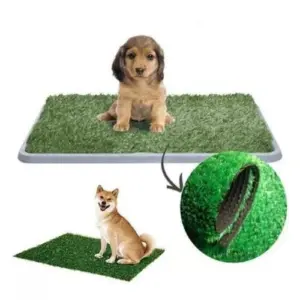 Tapete Entrenamiento Para Perros Potty