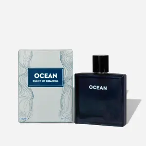 OCEAN OF THE CHANNEL