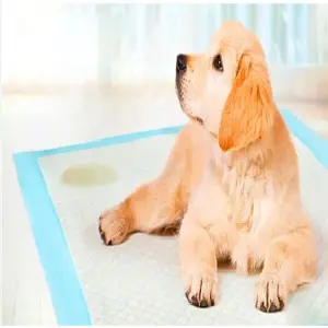 TAPETE SUPER ABSORBENTE PARA MASCOTA