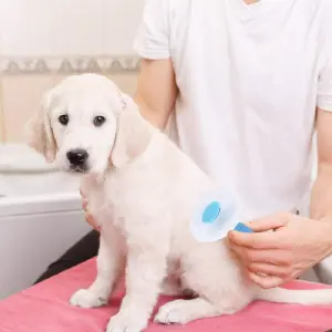 Peine para mascotas cepillo quita nudos