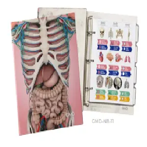 CARPETA MULTIMATERIA GMD
