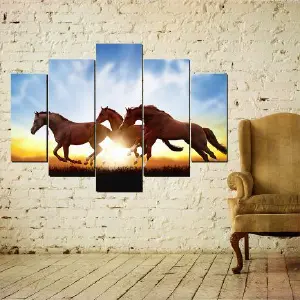 CABALLOS 61