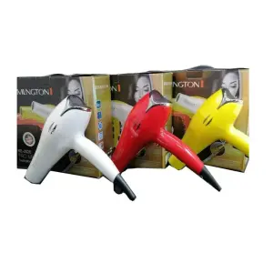 SECADOR REMLNGTON RE-2020 5000W