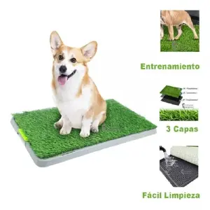 Tapete Entrenamiento Perros Potty Patch