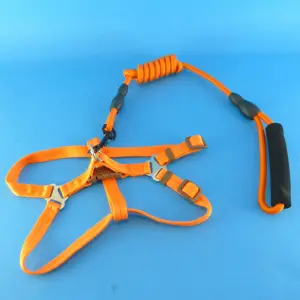 Collar con lazo para mascota M