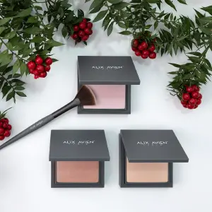 ALIX AVIEN HIGHLIGHTER