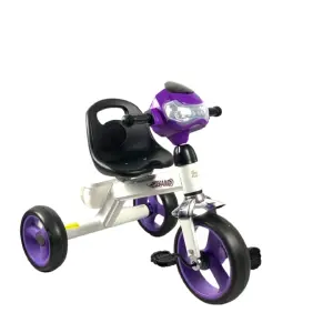 TRICICLO PASEADOR MUSICAL
