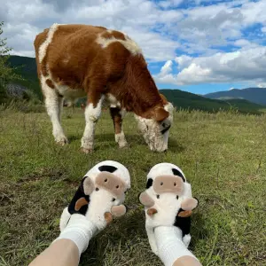Pantuflas Babucha Vaca 14CM038