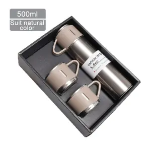 Set Termo Temperatura 500 ml + Pocillos