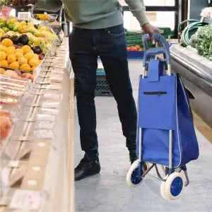 Carrito De Compra Plegable Con Ruedas