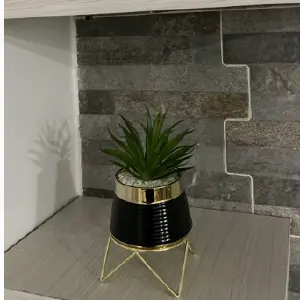 Matera Con Base Dorada