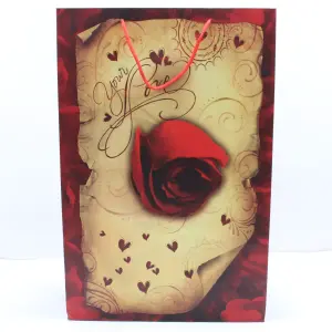 Bolsa de regalo grande motivo rosas y c