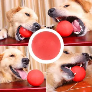 PELOTA SUPER RESISTENTE PERRO GRANDE