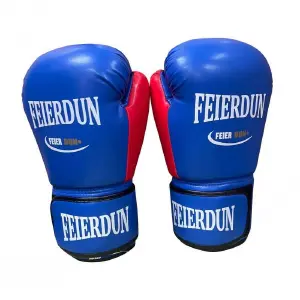 GUANTES DE BOXEO FEIERDUN 10 OZ