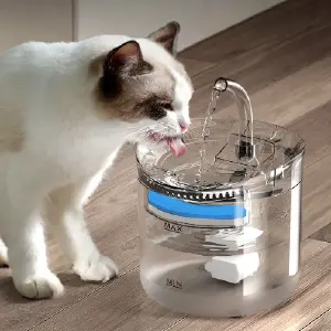 Fuente de agua para gato