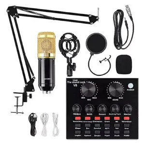 Micrófono Condensador Profesional BM-800