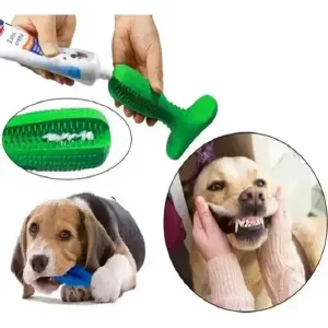 Cepillo Diente Mascota Antisaro