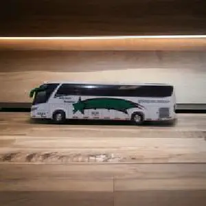 bus berlinas de un piso y de dos pisos