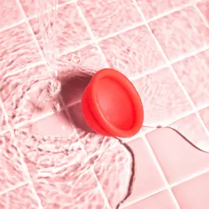 Disco Menstrual Fleurity
