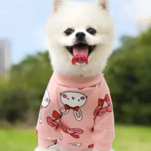 Buzo Estampado Fresita- Ropa Mascota