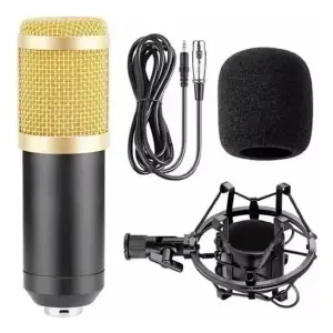 MICROFONO CONDENSADOR PROFESIONAL BM-800