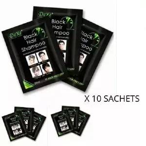 Shampoo Tinte Cubre Canas 10 Sb