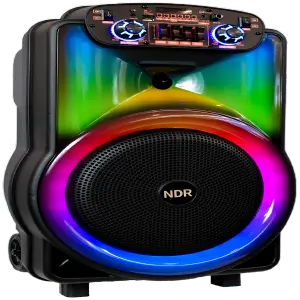 Cabina 12'' Woofer NDR-Y12 Negro