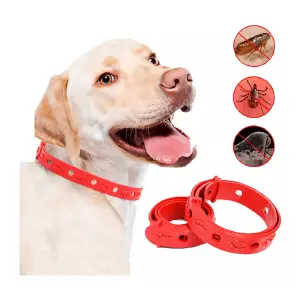 Collar Antipulgas Y Garrapatas