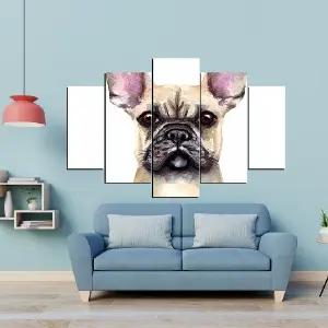 PERRO 54