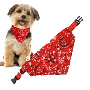 pañoleta bandana graduable perro